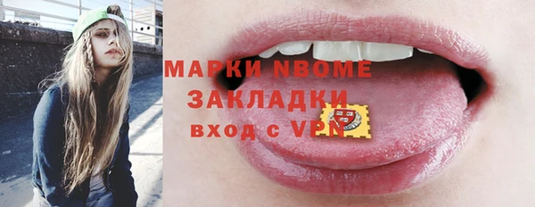 гидра Абаза