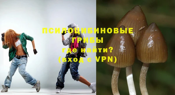 гидра Абаза