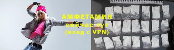 гидра Абаза