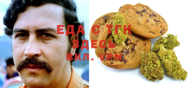 гидра Абаза